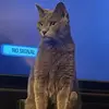 Tim Trobaugh - @tim.trobaugh - TikTok