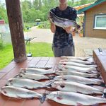 Tom Linden - @tom_troutfishing - Instagram