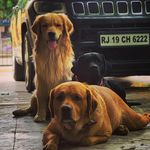 Tazo_tom_troy - @tom_tazo_troy - Instagram