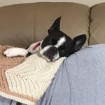 Tom Troy - @tomultuous_troy - Instagram
