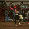 Troy Tomnitz - @troy.tomnitz1 - TikTok