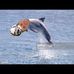 Tom Tudor - Facebook