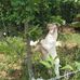 Thomas Underhill - Facebook