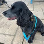 Tom Underhill - @tom.underhill29 - Instagram