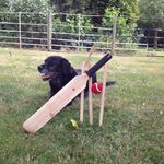 Tom Underhill - @underhill.tom - Instagram
