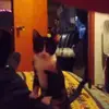 tommybigs12345 - @tomunderwood058 - TikTok