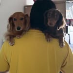 Nakane Tomung-e, Nakane Kuru-me - @tomung2.kurum2 - Instagram