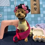 홍토뭉✨ - @tomung_0814 - Instagram