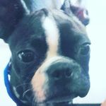 @tomvalenzuela - @tomvalenzuela5 - Instagram