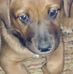 Tom VanCleave - Facebook