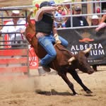 Tom Vandenberg - @bull_rider_tom - Instagram