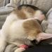 Thomas Vanderhoof - Facebook