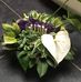 Tom Vandervoort - Facebook