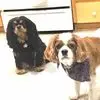 Tom Vanderwall - @tom.vanderwall - TikTok