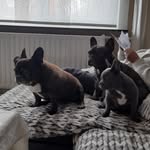 Tom van Gorp - @tom.vangorp.31 - Instagram