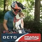 Tom van Heesch - @tomvanheesch - Instagram