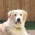 TJ - @tom.j.vanhorn - Instagram