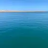 TOM - @tom.vanhorn - TikTok