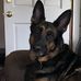 Tom Vandyke - Facebook
