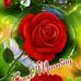 Tom Varkey - Facebook