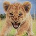 Tom Vatter - Facebook