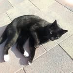 Tom Veerman - @postbode_ - Instagram