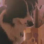 Tom Velázquez - @tom_velazquez4 - Instagram