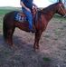Tom Velasquez - Facebook