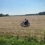 Tom Veltri - @veltri.tom - Instagram