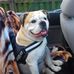 Tom Venables - Facebook