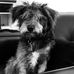 Tom Venditti - Facebook