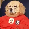 Der Filmverderber - @tommovie818 - TikTok