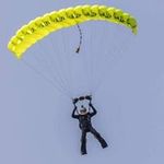 Tom Vermeerbergen - @tomvermeerbergen - Instagram