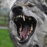 Tom Vermeersch - @vermeersch.tom - Instagram