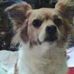 Tom Viers - Facebook