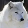 tommasovillani887 - @tommasovillani887 - TikTok