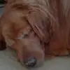 tomvillani - @tomvillani - TikTok