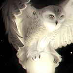 Tom Vinjé - @tomvinje - Instagram