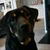 Tommy Vinje - @tommyvinje1 - TikTok
