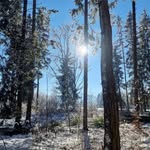 Tom Vogler - @vglr_tom - Instagram