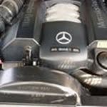 Tom Vogler - @tvogler5 - Instagram