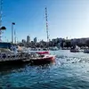 Tom Vu - @tom.vu33 - TikTok