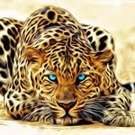 Tom Wachter - @tom.wachter.37 - Instagram