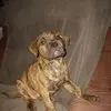 Tom Waid - @tom.waid - TikTok