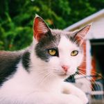 Tom Walden - @letmy.tommytalk - Instagram