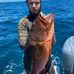 Tom Walden - Facebook
