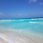 Tom Walden - @tom.walden.104 - Instagram