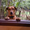 tom_waldman - @tom_waldman - TikTok