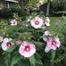 Tom Waldvogel - Facebook
