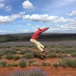Tom Wang - @tomwxg - Instagram